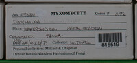 Image Associated With the Occurence
